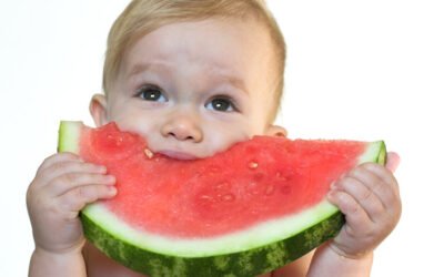 Advice for Toddler Snacking