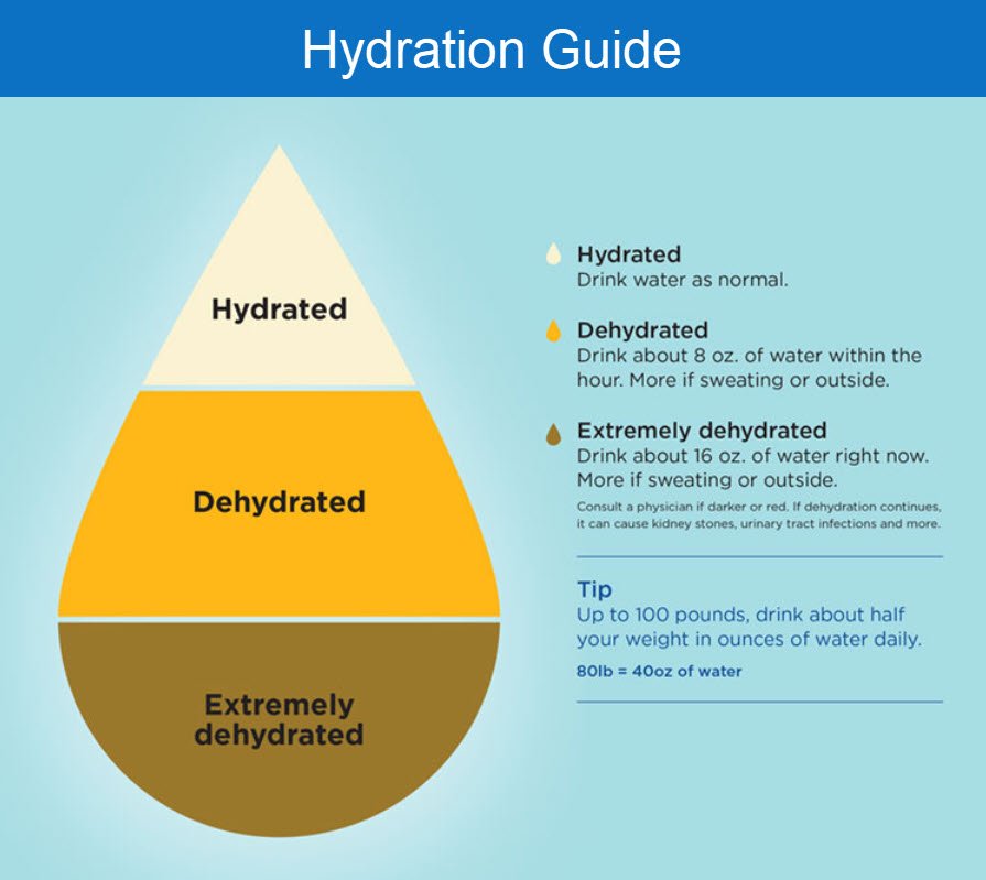 Constipation In Children - Hydration Guide